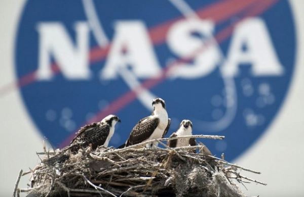 <br />
В NASA намерены продолжать отправлять астронавтов к МКС на «Союзах» после 2019 года<br />

